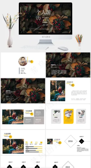 求职简历作品集圣诞简约通用简历预览图