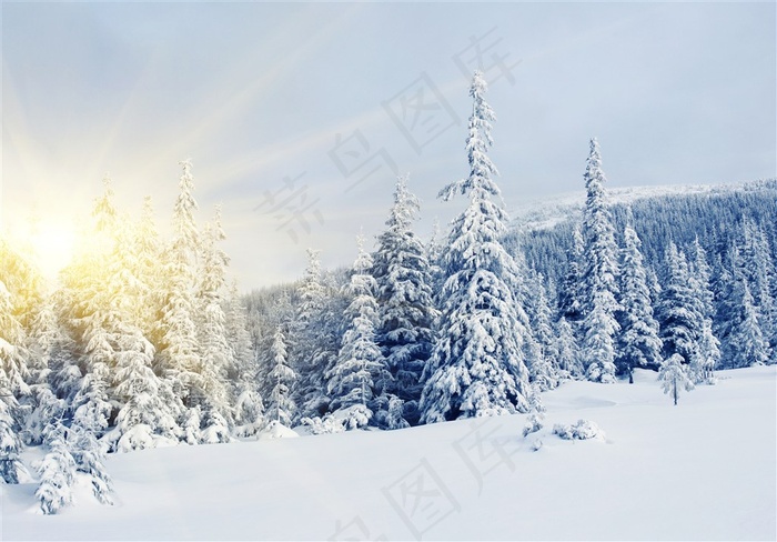 晴朗天空下的雪地风景高清摄影图