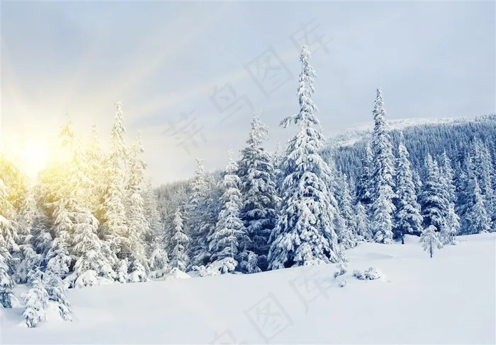 晴朗天空下的雪地风景高清摄影图