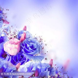 唯美梦幻的紫色鲜花图片