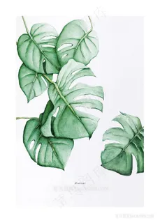 北欧绿叶简约装饰画