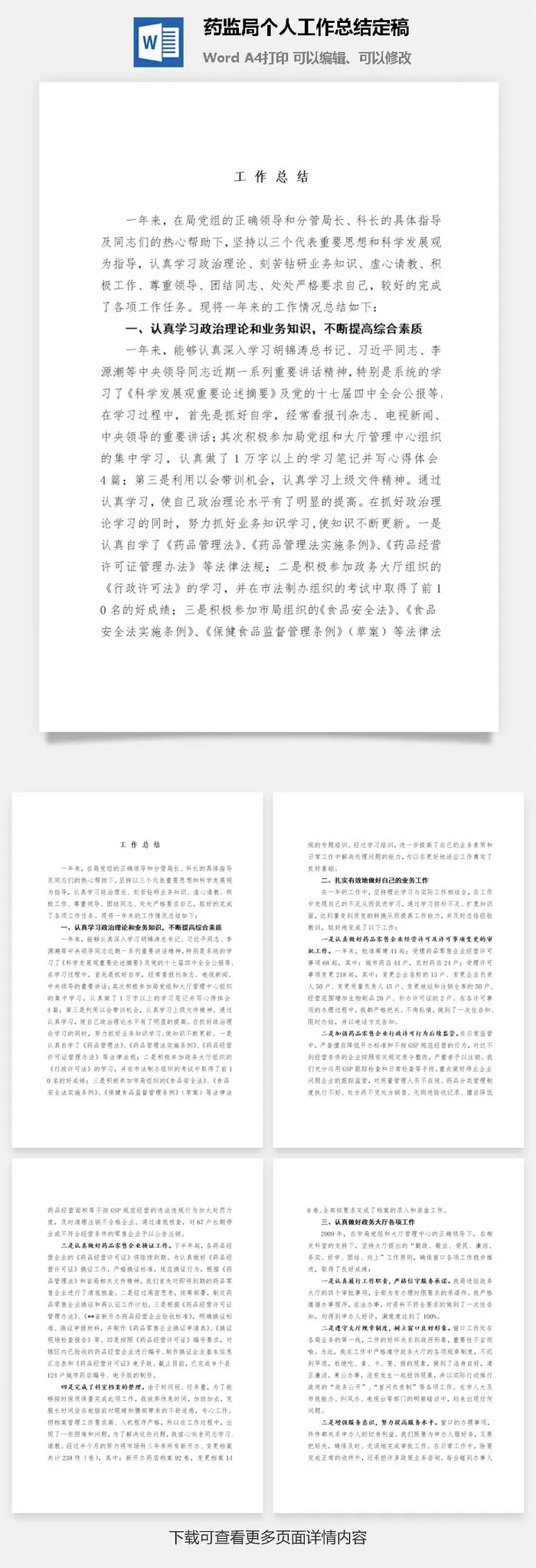 药监局个人工作总结定稿word模板