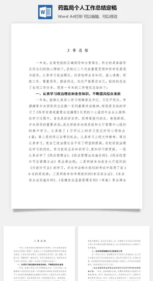 药监局个人工作总结定稿word模板