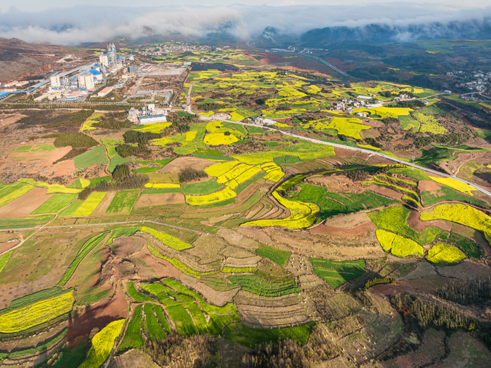 航拍罗平油菜花