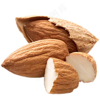 扁口核桃免抠图片
