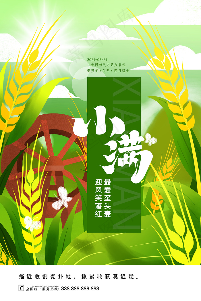 手绘24传统节气小满节日海报