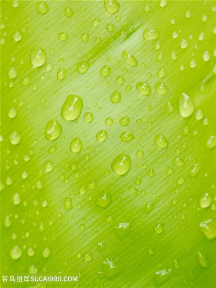 水滴绿叶背景图