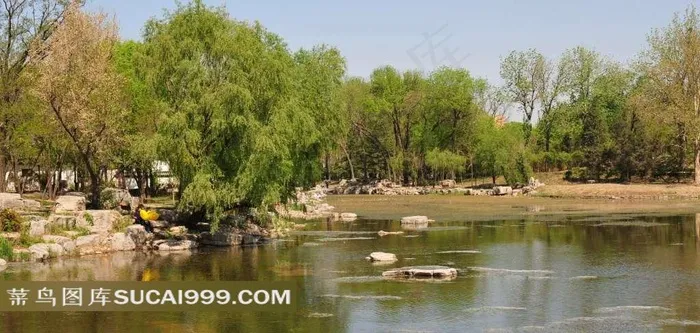 天津西沽公园风景