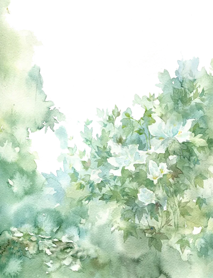 绿植卡通简笔