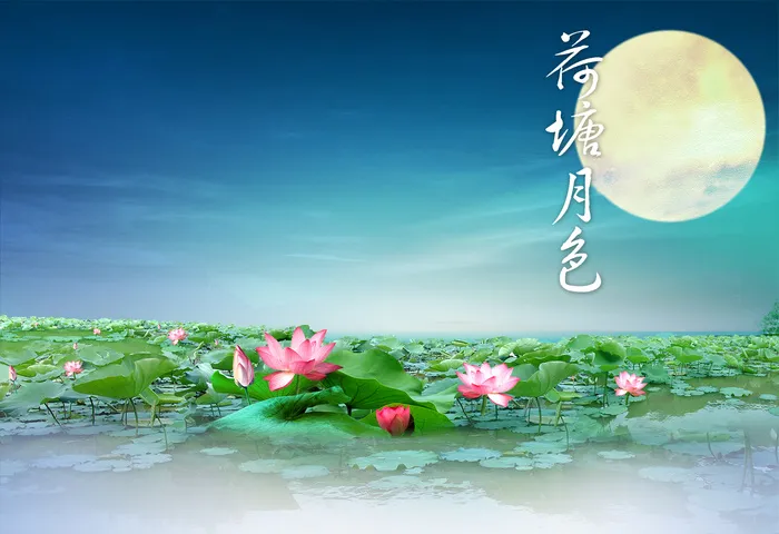 荷塘月色荷花宽屏
