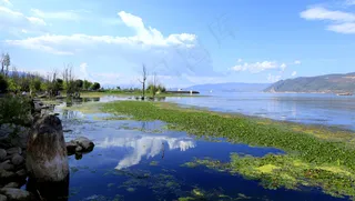 湖 草坪 蓝天 乡村 风景 摄影 旅游摄影 国内旅游 