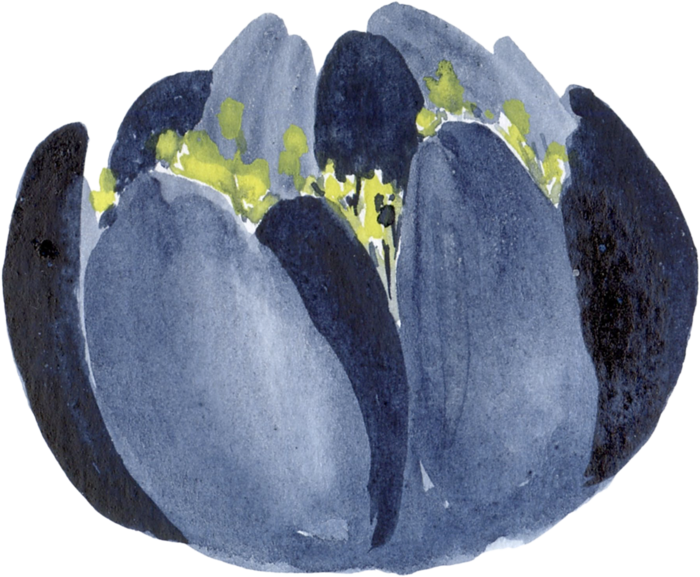 海军蓝金线水彩花卉素材