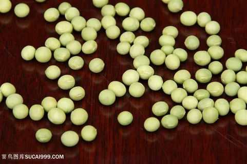 农作物绿豆素材图片