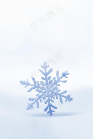 大雪雪花简约浪漫白色节气海报背景