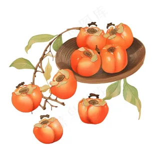 秋日柿子水果水彩画免抠