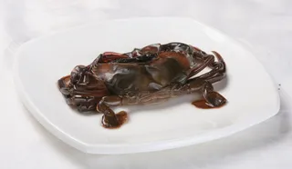 04 黑局软壳蟹-辛庄