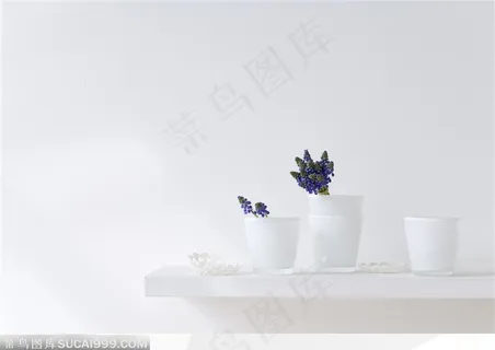紫色插花和白色瓷质水杯 紫色插花和白色瓷质水杯