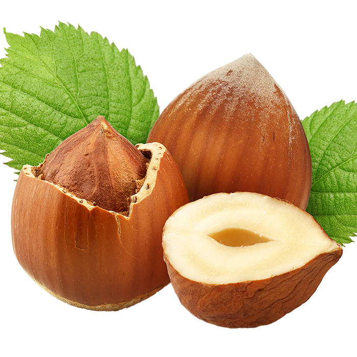 榛子 (1)干果超市商品白底图免抠实物摄影png格式图片透明底