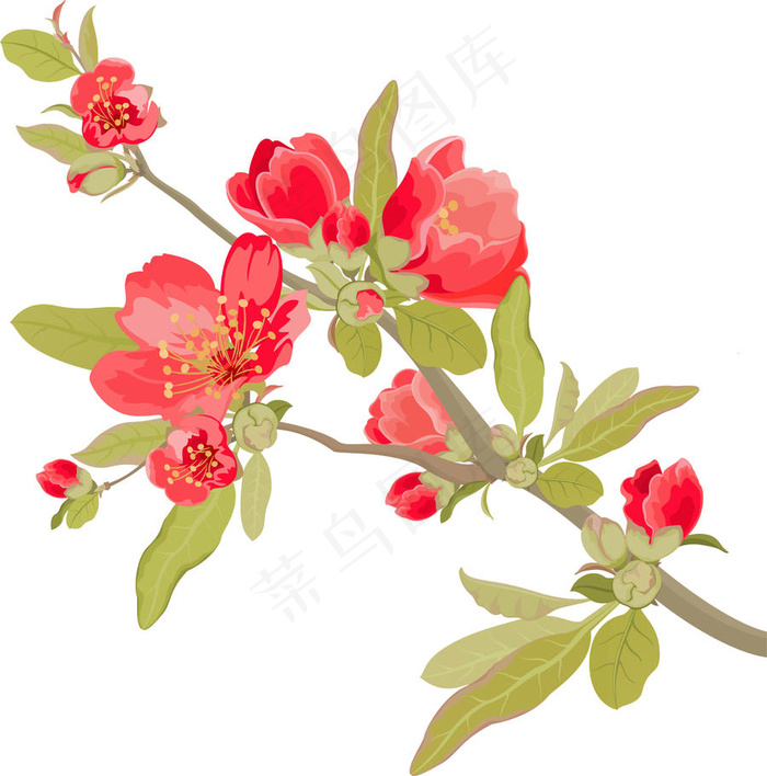 卡通手绘樱花花枝