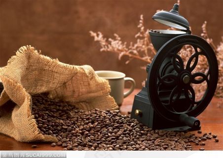 一袋散落的咖啡豆和一台研磨机