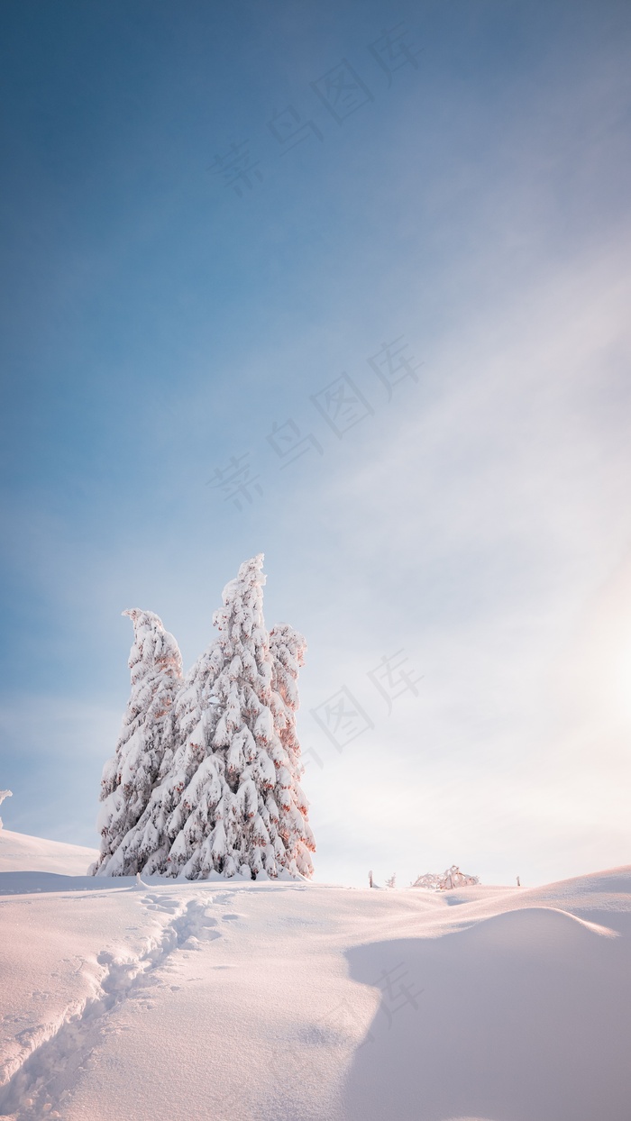 冬天  冬季景观 自然 雪 景观 外表 水 寒冷的