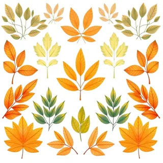 秋天黄色叶子树叶插画免抠