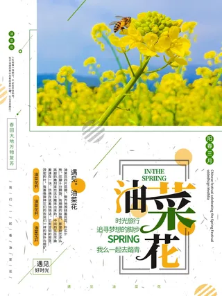 大气简约油菜花海报