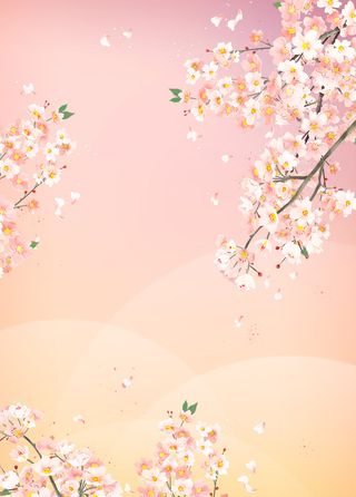 粉色桃花樱花浪漫温馨背景
