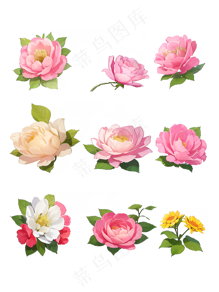 红色 粉色 手绘 免抠 PNG 玫瑰 花 素材13