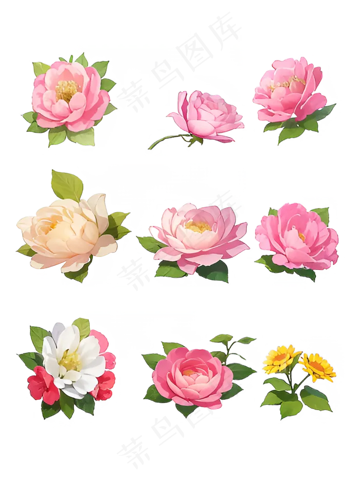 红色 粉色 手绘 免抠 PNG 玫瑰 花 素材13