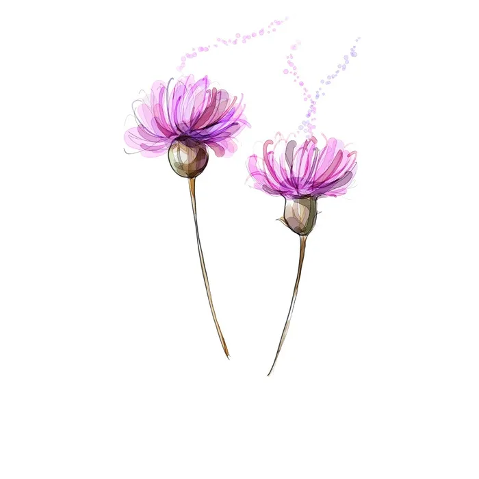 紫色浪漫风简约鲜花插画插图水墨油画海报背景图片素材
