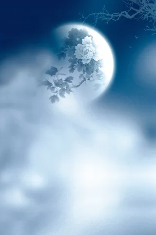 唯美月亮背景