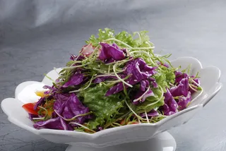 LCSC3292西域大拌菜  28