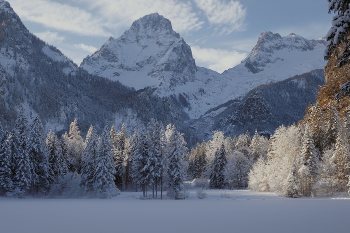 冬天白色背景风景