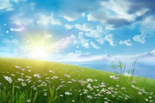 蓝天白云菊花背景