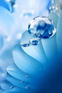 清新露珠蓝白色背景