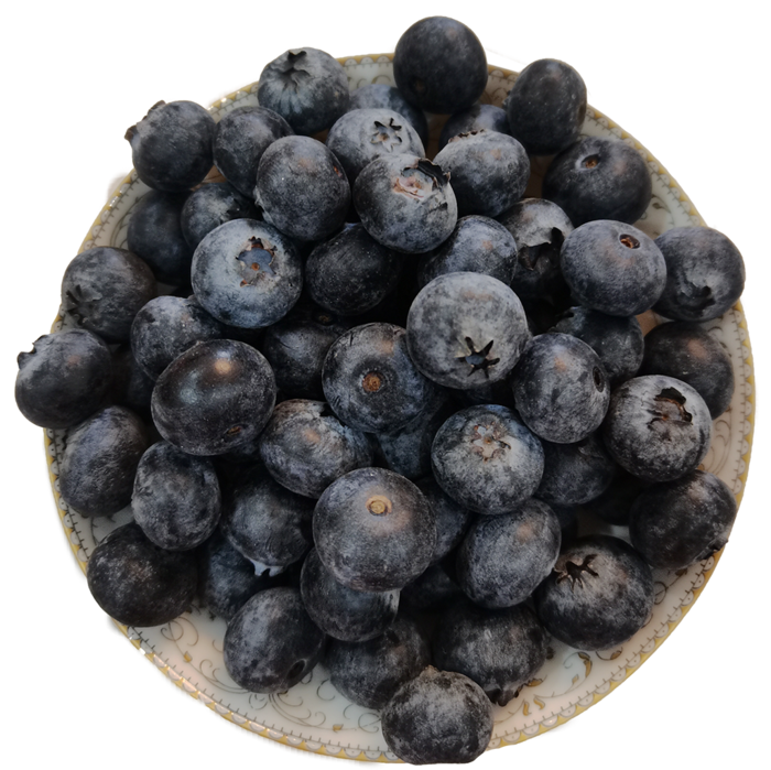 带霜新鲜蓝莓免抠实物实拍摄影元素素材