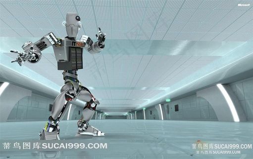 中国功夫机器人