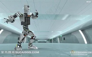 中国功夫机器人