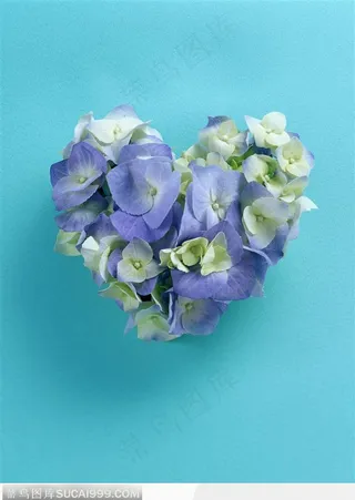 装饰成心形的花瓣-2