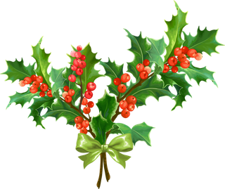 圣诞节元素高清PNG免抠图片