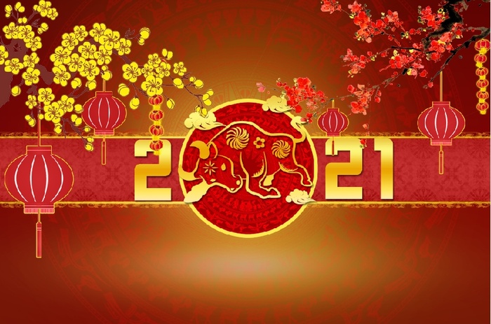设计2021年梅花新年psd模版下载