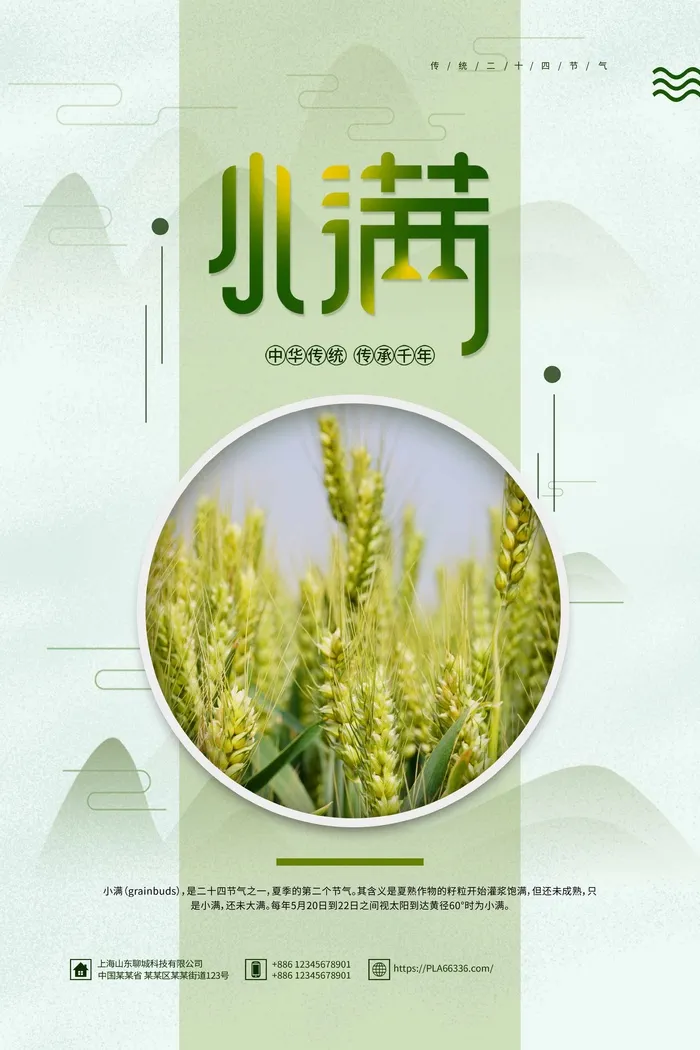 小满 小满海报psd模版下载