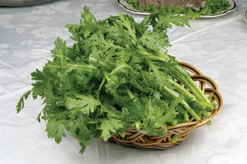 蒿子杆 蒿子杆
