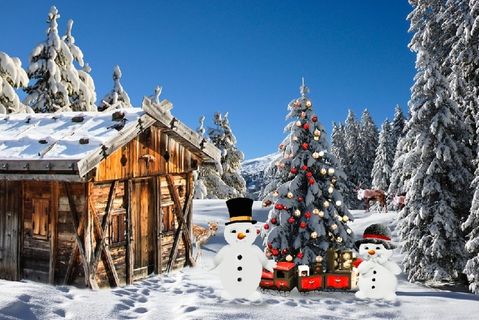 圣诞节雪花装饰风景