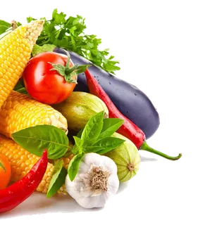 免扣 素材  水果 蔬菜5 免扣 素材  水果 蔬菜5