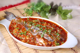 XCXC1148凤味钳鱼