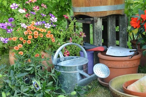 花园和各种工具 花园和各种工具