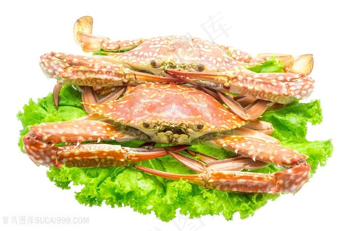 两只长腿蟹可抠图海鲜美食图片
