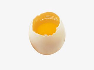 鸽子蛋鸡蛋
